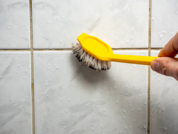 Best Toxic Mold Removal  in Remsen, IA