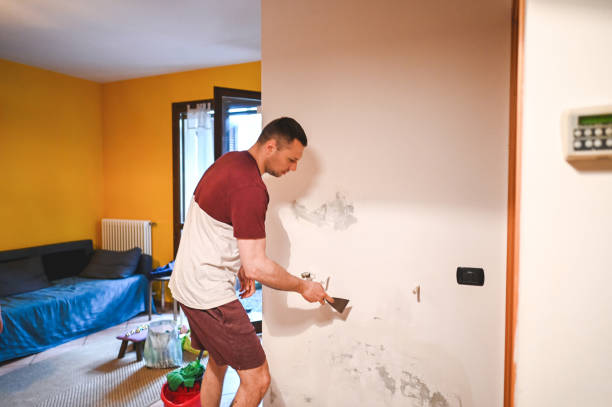 Best Professional Mold Removal  in Remsen, IA
